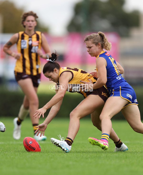 VFLW 2024 Round 04 - Box Hill Hawks v Williamstown - A-47183281