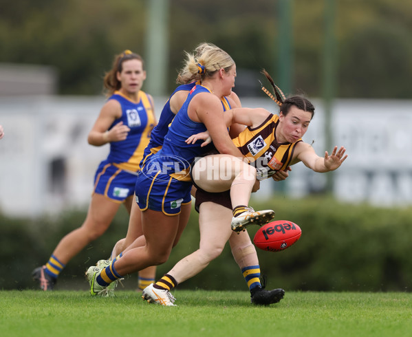 VFLW 2024 Round 04 - Box Hill Hawks v Williamstown - A-47183282