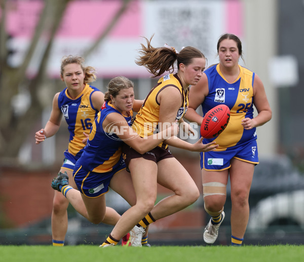 VFLW 2024 Round 04 - Box Hill Hawks v Williamstown - A-47183284