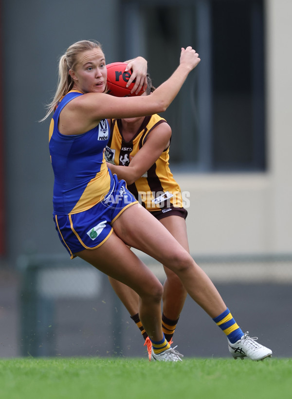 VFLW 2024 Round 04 - Box Hill Hawks v Williamstown - A-47183286