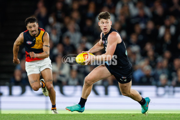 AFL 2024 Round 05 - Carlton v Adelaide - A-47183293