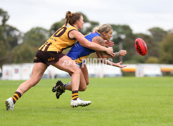 VFLW 2024 Round 04 - Box Hill Hawks v Williamstown - A-47186012