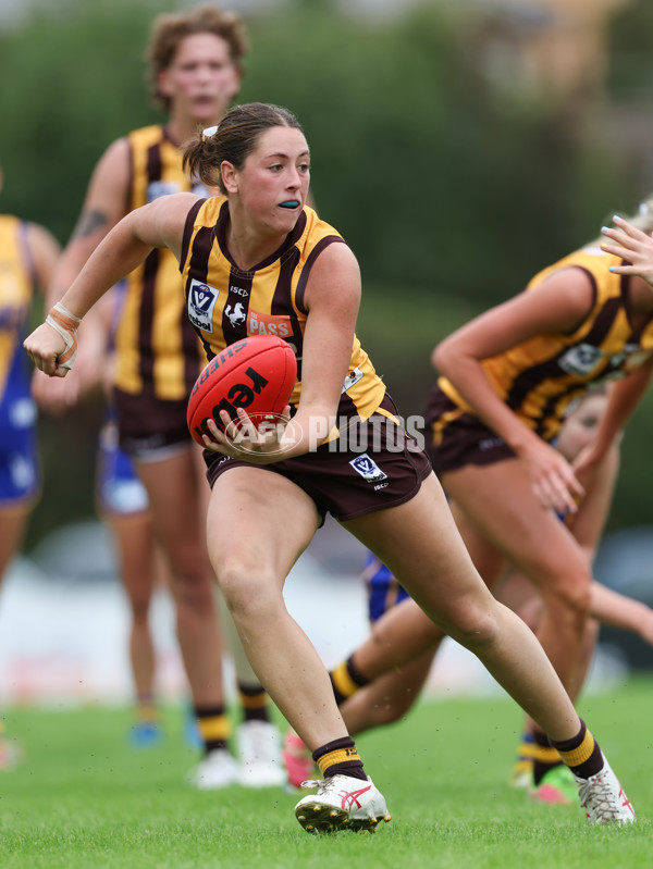 VFLW 2024 Round 04 - Box Hill Hawks v Williamstown - A-47186017