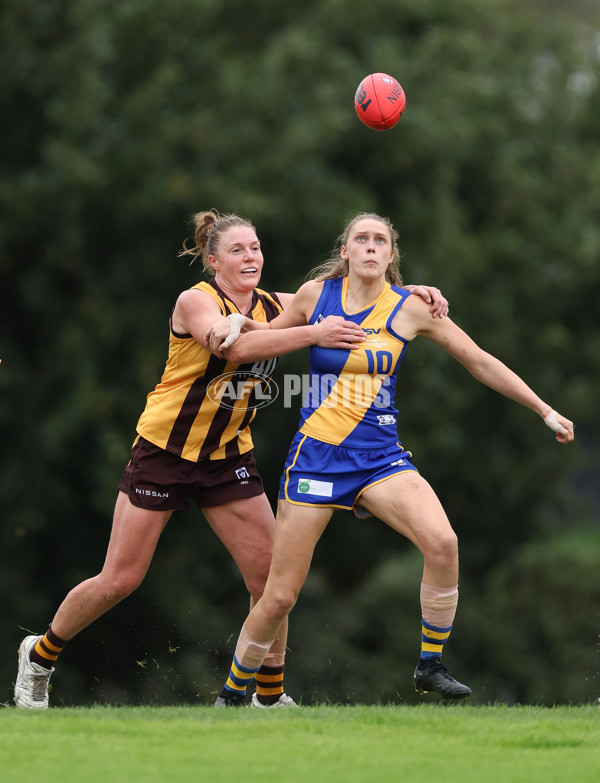 VFLW 2024 Round 04 - Box Hill Hawks v Williamstown - A-47187799