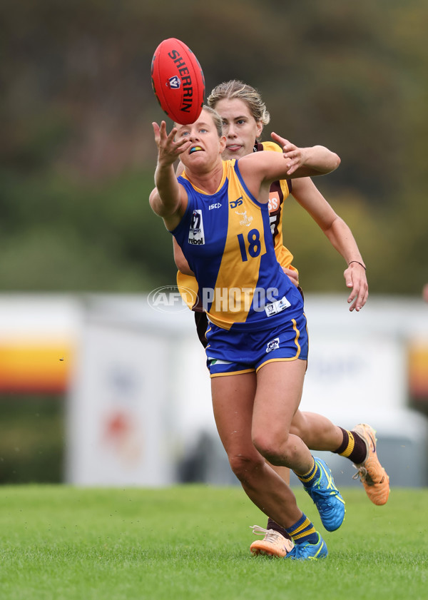 VFLW 2024 Round 04 - Box Hill Hawks v Williamstown - A-47188654