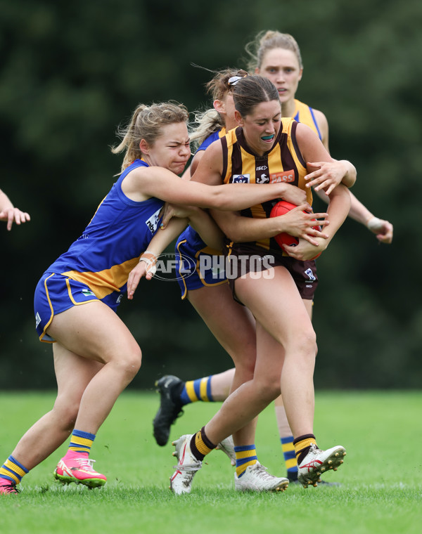 VFLW 2024 Round 04 - Box Hill Hawks v Williamstown - A-47188655