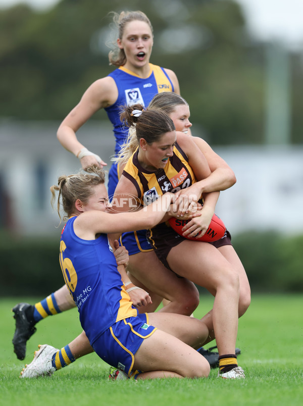 VFLW 2024 Round 04 - Box Hill Hawks v Williamstown - A-47188656