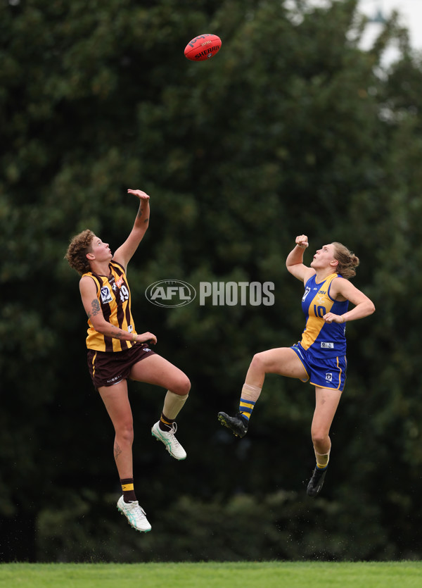 VFLW 2024 Round 04 - Box Hill Hawks v Williamstown - A-47188662