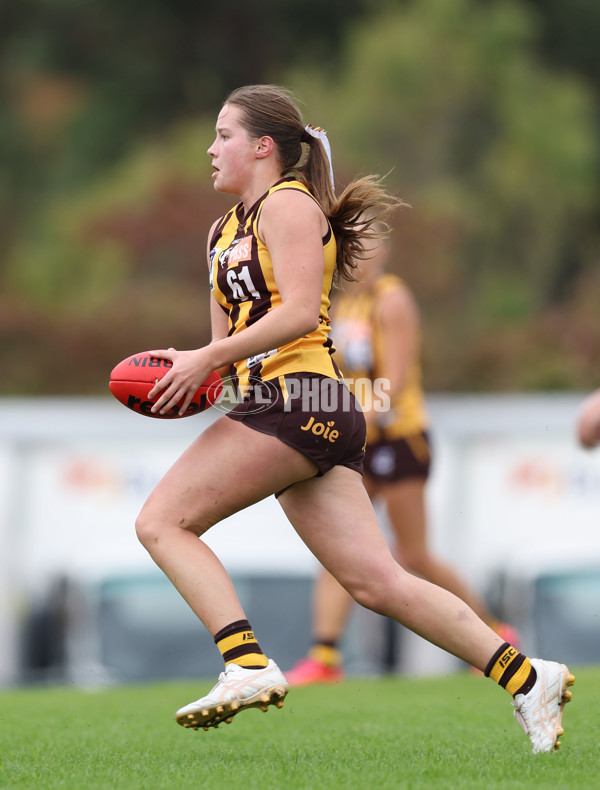 VFLW 2024 Round 04 - Box Hill Hawks v Williamstown - A-47190107