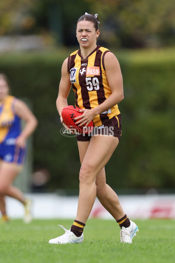 VFLW 2024 Round 04 - Box Hill Hawks v Williamstown - A-47191355