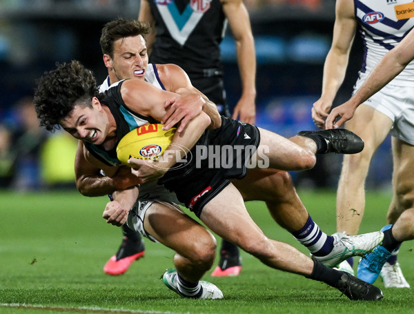 AFL 2024 Round 05 - Port Adelaide v Fremantle - A-47195085