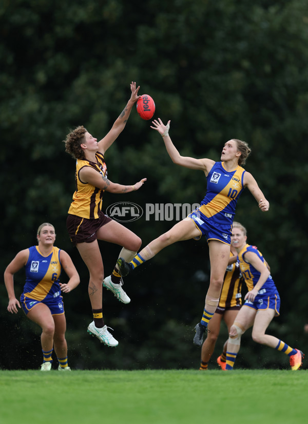 VFLW 2024 Round 04 - Box Hill Hawks v Williamstown - A-47195089