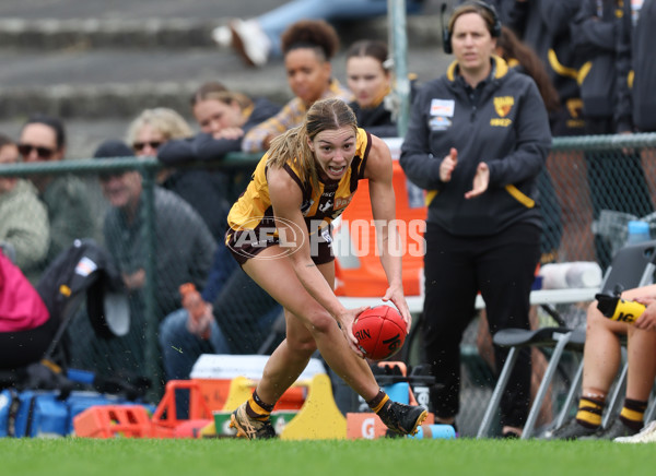 VFLW 2024 Round 04 - Box Hill Hawks v Williamstown - A-47195092