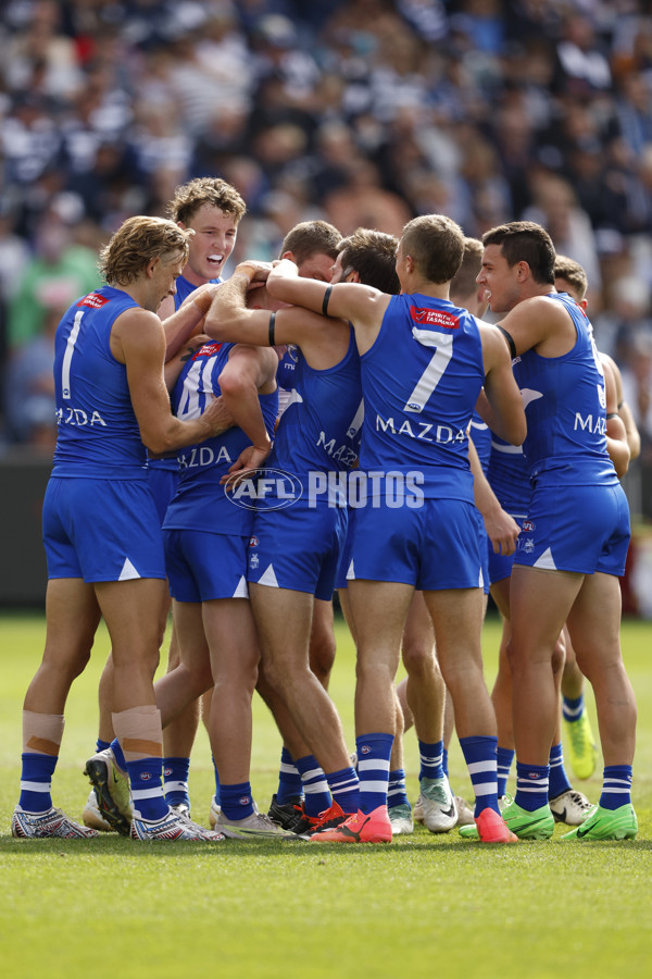 AFL 2024 Round 05 - Geelong v North Melbourne - A-47208306