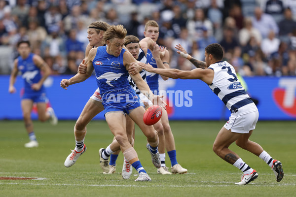 AFL 2024 Round 05 - Geelong v North Melbourne - A-47210649