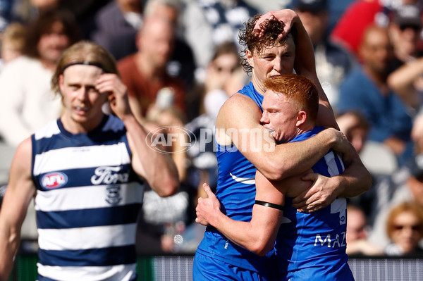 AFL 2024 Round 05 - Geelong v North Melbourne - A-47210701