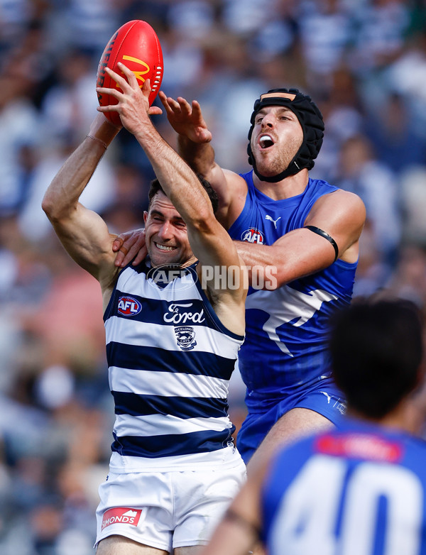 AFL 2024 Round 05 - Geelong v North Melbourne - A-47211971