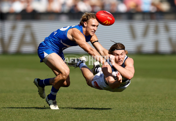 AFL 2024 Round 05 - Geelong v North Melbourne - A-47213489