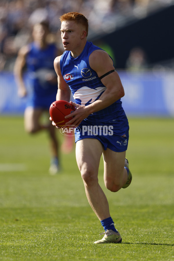 AFL 2024 Round 05 - Geelong v North Melbourne - A-47213514