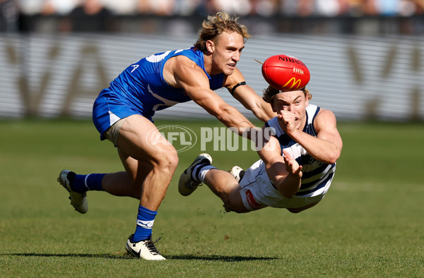 AFL 2024 Round 05 - Geelong v North Melbourne - A-47214183