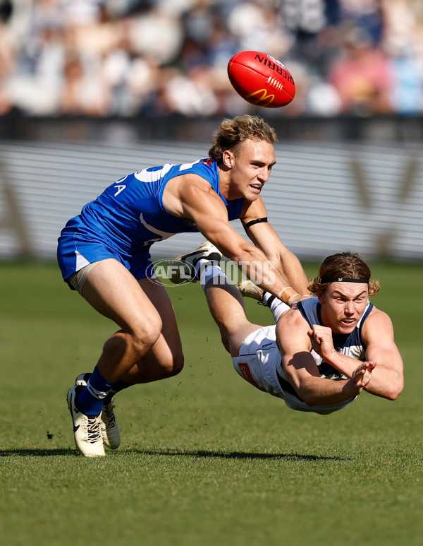 AFL 2024 Round 05 - Geelong v North Melbourne - A-47214184