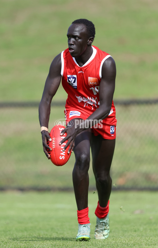 VFL 2024 Round 03 - Northern Bullants v Geelong - A-47214190