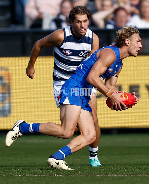 AFL 2024 Round 05 - Geelong v North Melbourne - A-47214265