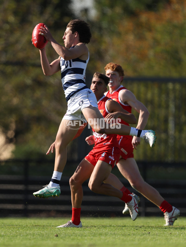 VFL 2024 Round 03 - Northern Bullants v Geelong - A-47216200