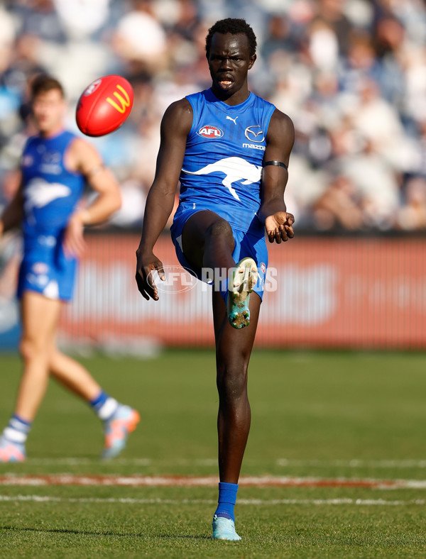 AFL 2024 Round 05 - Geelong v North Melbourne - A-47216236