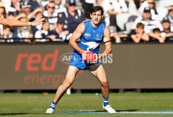 AFL 2024 Round 05 - Geelong v North Melbourne - A-47216257