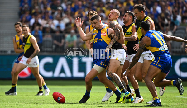 AFL 2024 Round 05 - West Coast v Richmond - A-47217184