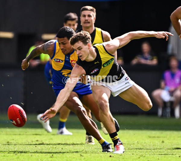 AFL 2024 Round 05 - West Coast v Richmond - A-47218515