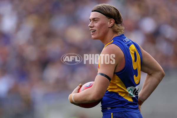AFL 2024 Round 05 - West Coast v Richmond - A-47218602