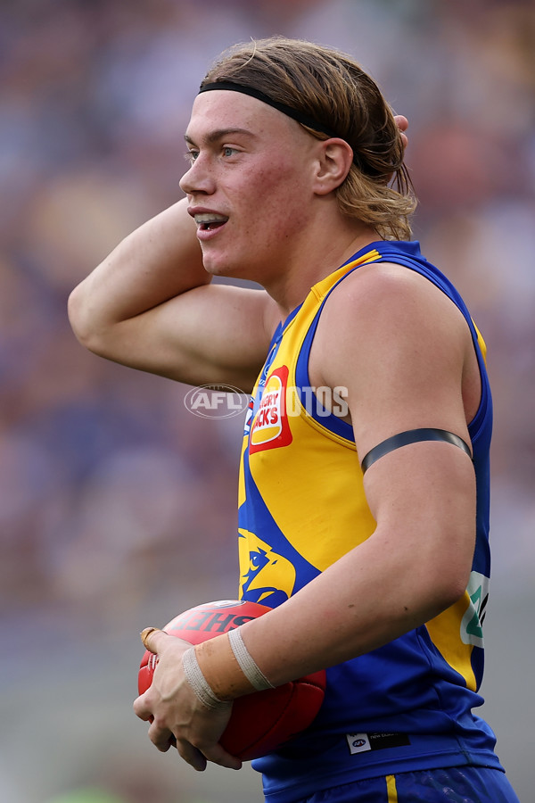 AFL 2024 Round 05 - West Coast v Richmond - A-47218604