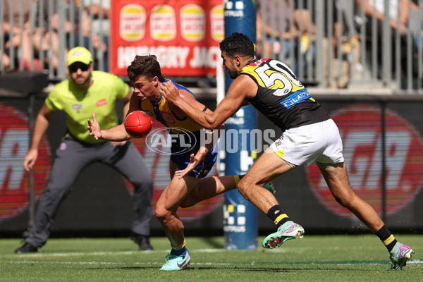 AFL 2024 Round 05 - West Coast v Richmond - A-47218606