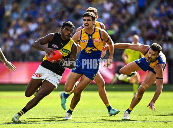 AFL 2024 Round 05 - West Coast v Richmond - A-47221226
