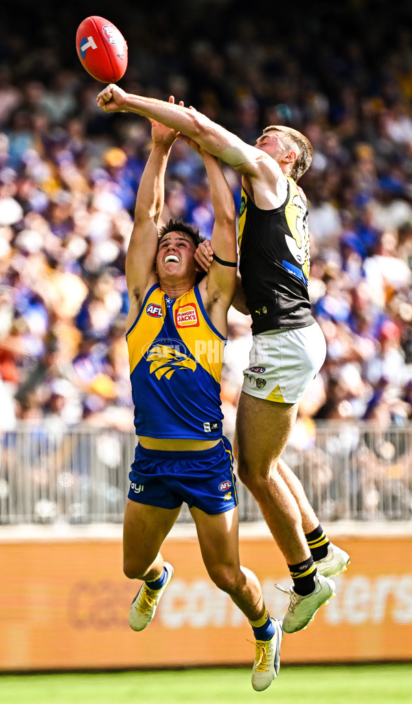 AFL 2024 Round 05 - West Coast v Richmond - A-47221708