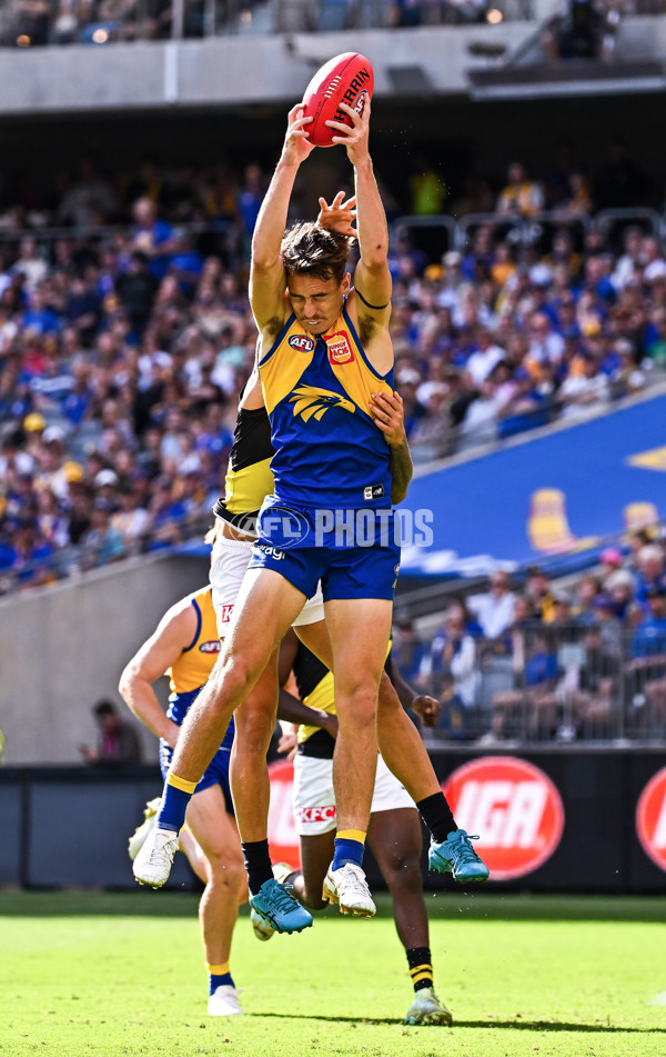 AFL 2024 Round 05 - West Coast v Richmond - A-47221709