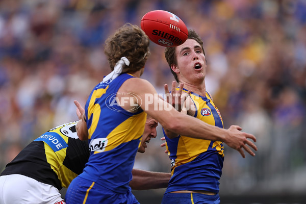 AFL 2024 Round 05 - West Coast v Richmond - A-47221724