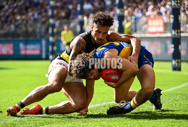 AFL 2024 Round 05 - West Coast v Richmond - A-47221725