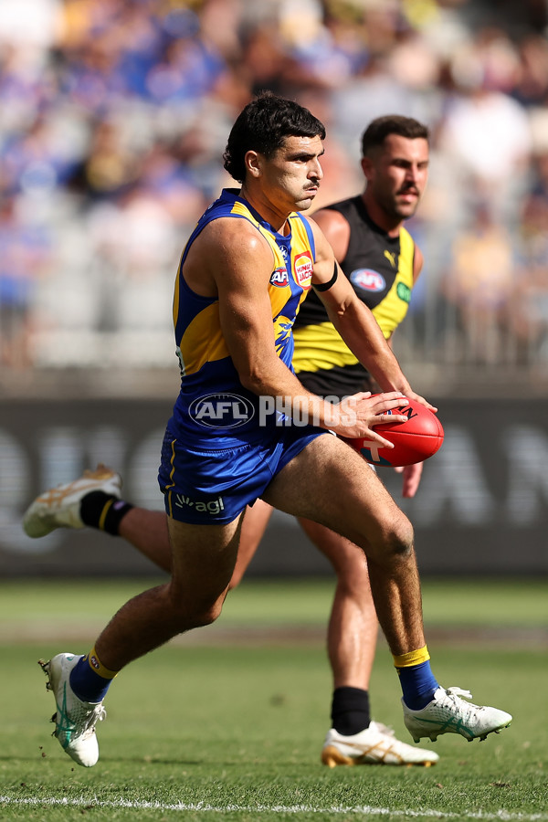 AFL 2024 Round 05 - West Coast v Richmond - A-47223692