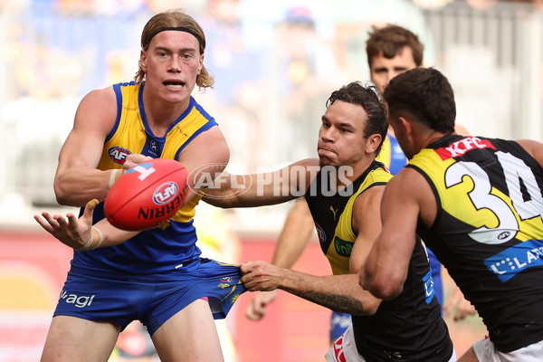 AFL 2024 Round 05 - West Coast v Richmond - A-47223719