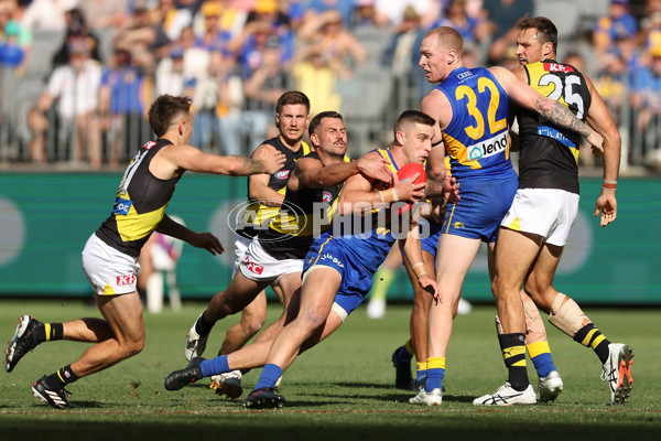 AFL 2024 Round 05 - West Coast v Richmond - A-47224067