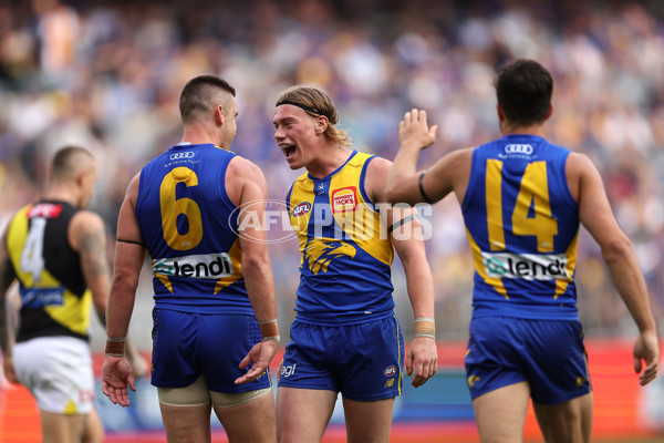 AFL 2024 Round 05 - West Coast v Richmond - A-47224107