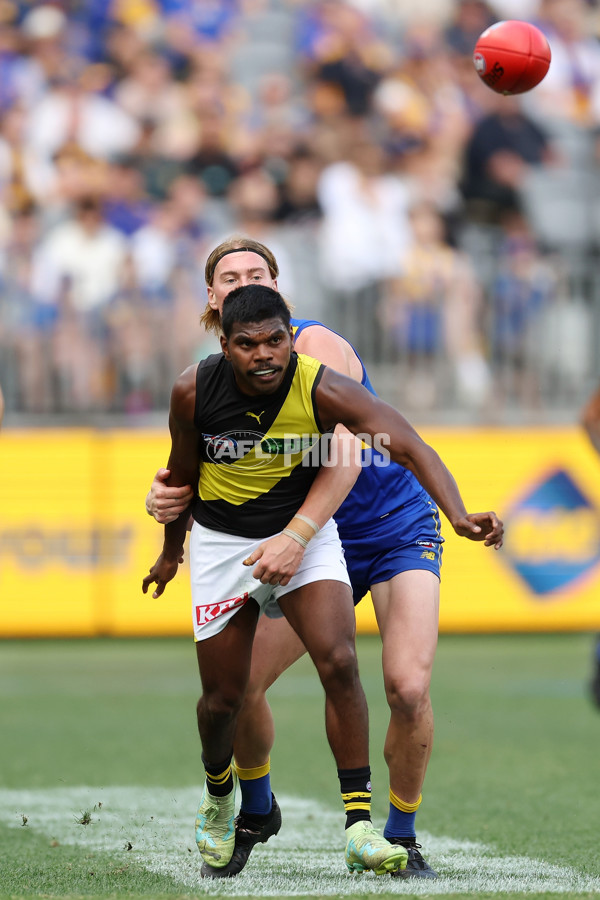 AFL 2024 Round 05 - West Coast v Richmond - A-47224125