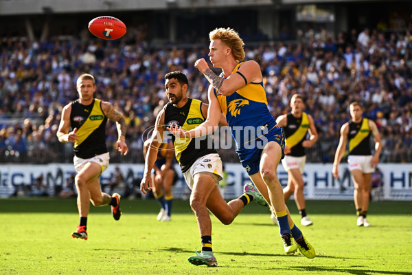 AFL 2024 Round 05 - West Coast v Richmond - A-47226391