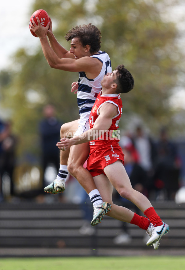 VFL 2024 Round 03 - Northern Bullants v Geelong - A-47226410