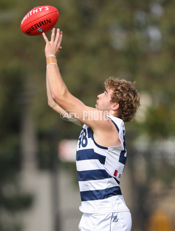 VFL 2024 Round 03 - Northern Bullants v Geelong - A-47226415