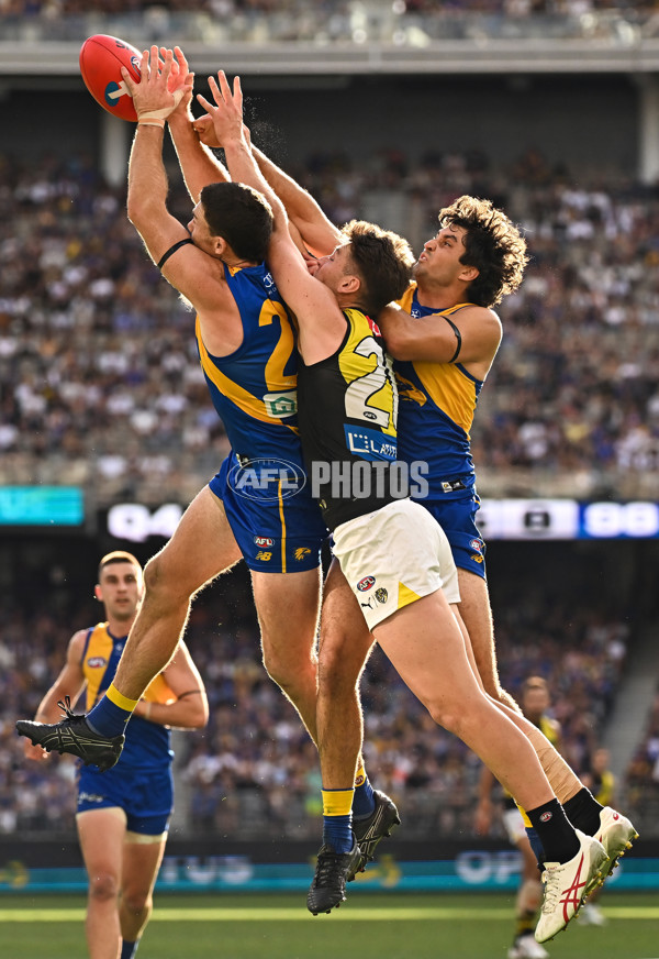 AFL 2024 Round 05 - West Coast v Richmond - A-47226448