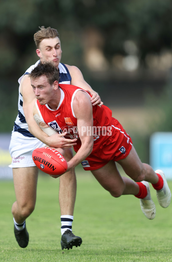 VFL 2024 Round 03 - Northern Bullants v Geelong - A-47226485